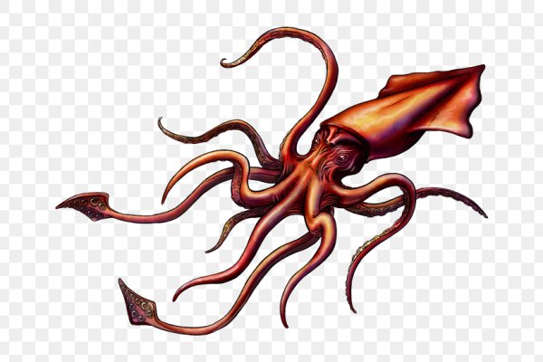 Kraken https