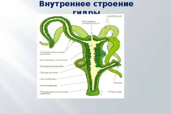 Darknet ссылки