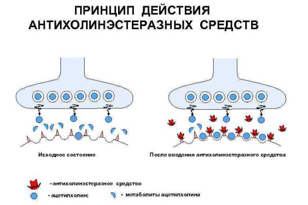 Кракен телегрф