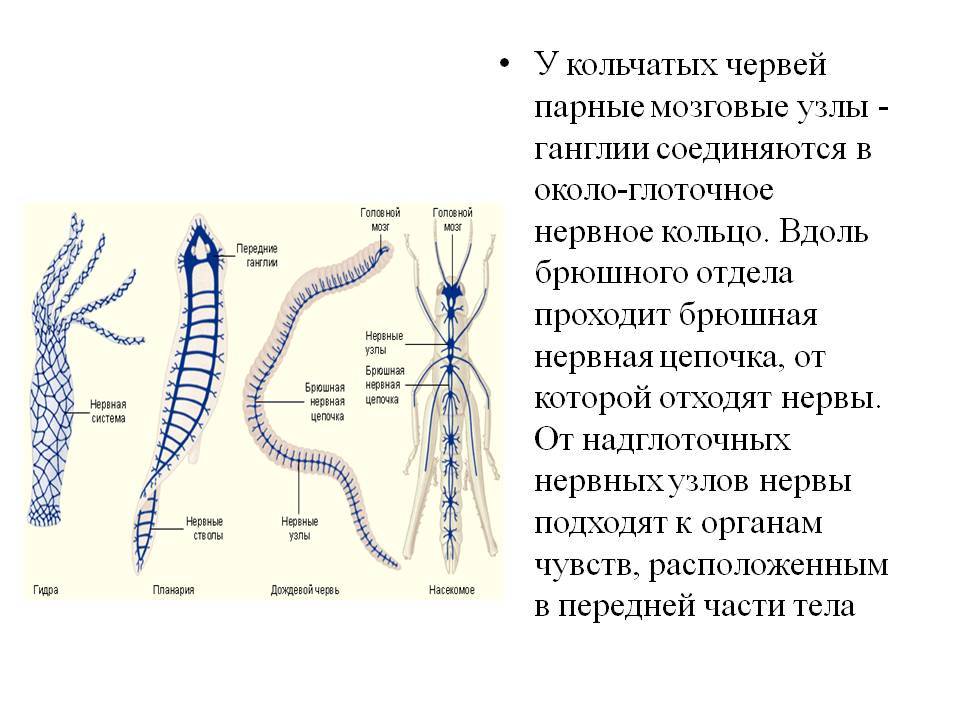 Как написать администрации даркнета кракен