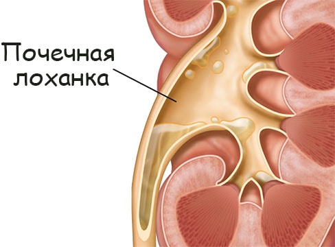 Кракен в обход